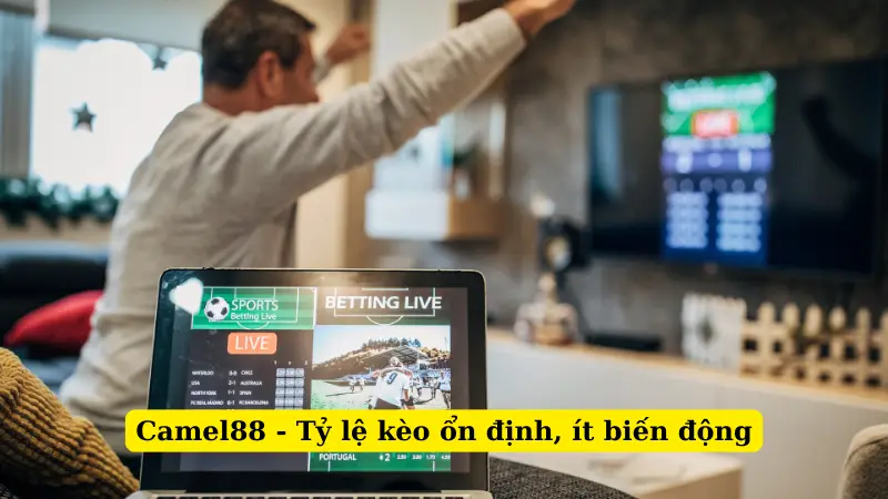 Camel88 - Tỷ lệ kèo ổn định, ít biến động