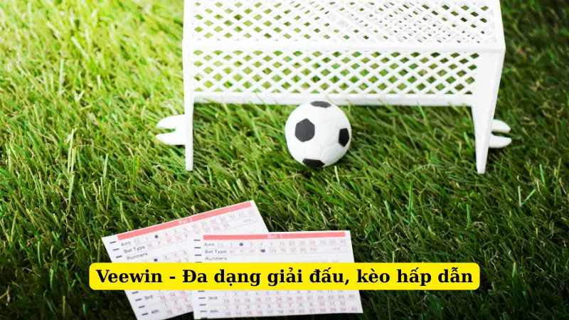 Veewin - Đa dạng giải đấu, kèo hấp dẫn